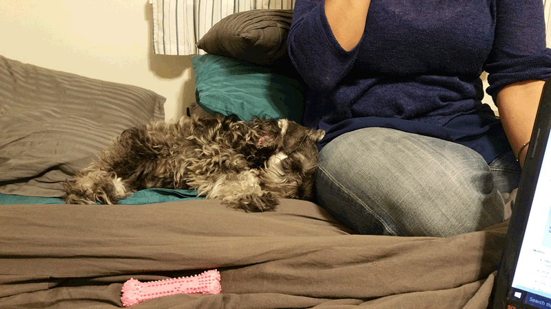 Shayna: images/thumbs/layingwithrachel.png