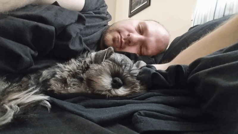 Shayna: images/thumbs/mesleeping.png