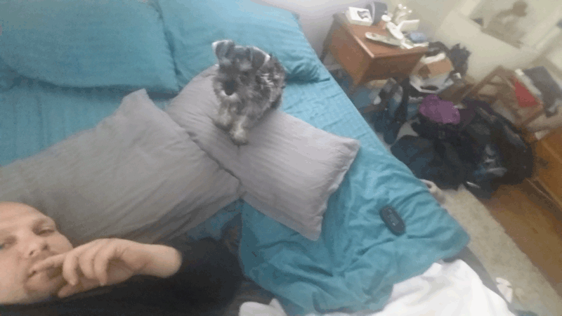 Shayna: images/thumbs/sitonpillow.png
